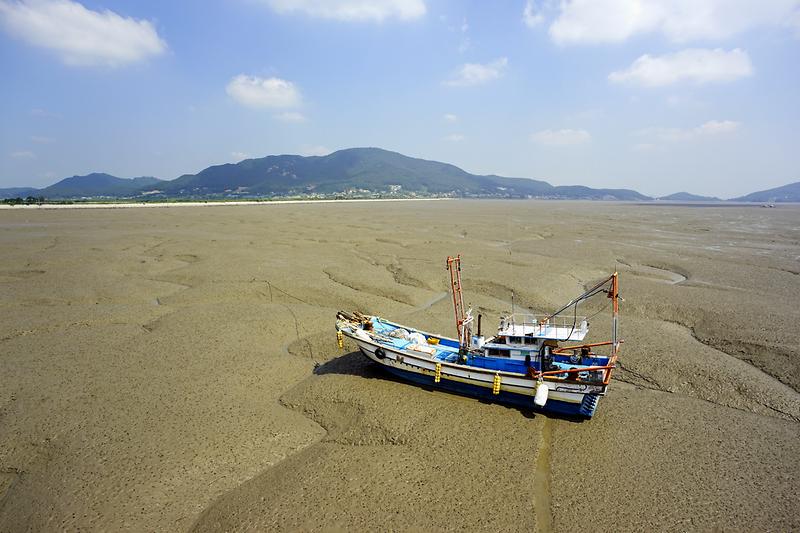 강화갯벌 및 저어새번식지 사진2