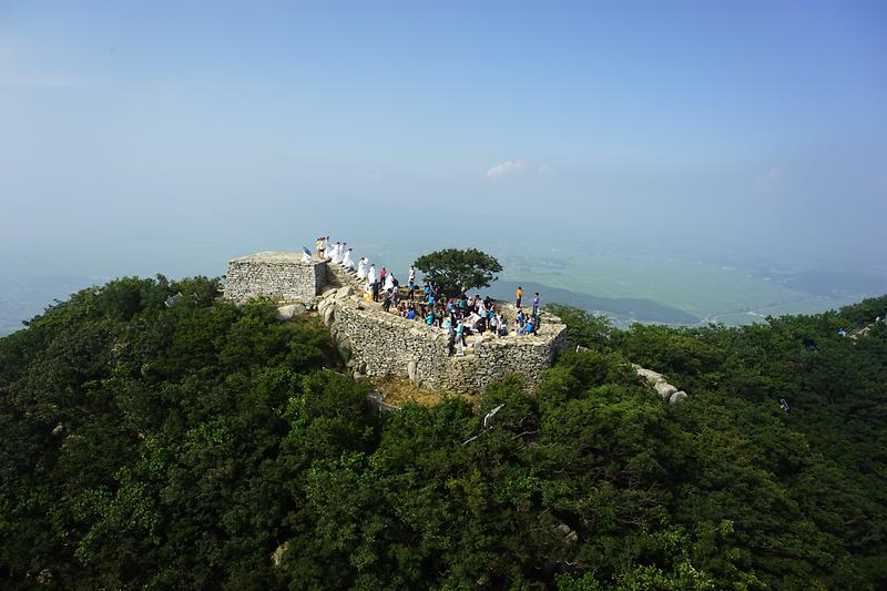 강화 참성단 소사나무 사진2