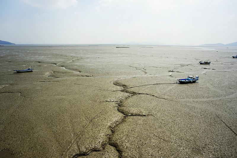 강화갯벌 및 저어새번식지 사진3