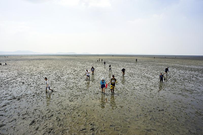 강화갯벌 및 저어새번식지 사진4