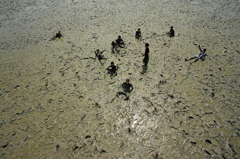 강화갯벌 및 저어새번식지 사진5