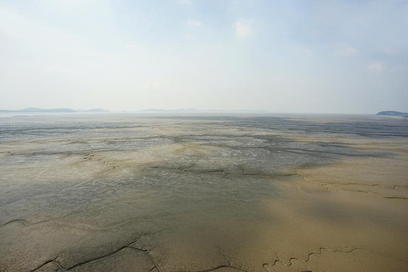 강화갯벌 및 저어새번식지 사진7