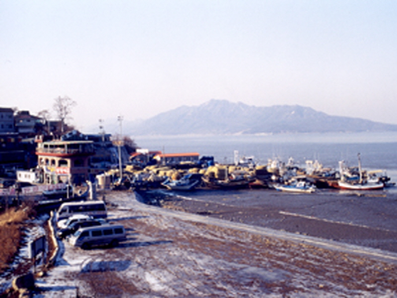 선수벤댕이횟집촌 사진2