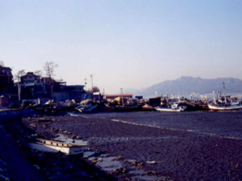 선수벤댕이횟집촌 사진3