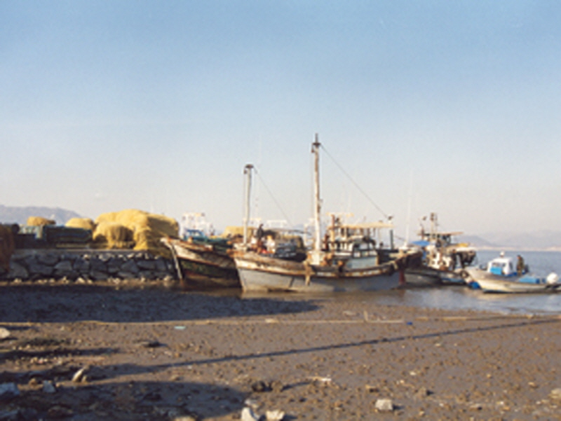 선수벤댕이횟집촌 사진4