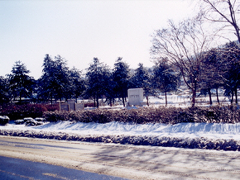 연무당옛터 사진2