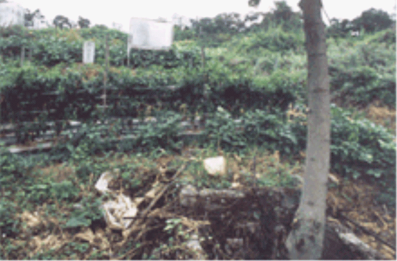 연산군 유배지 사진2