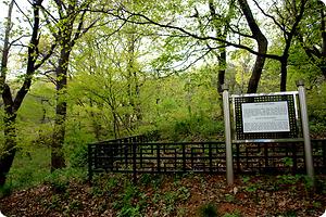 분청사기 요지 사진