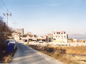 선수벤댕이횟집촌 사진