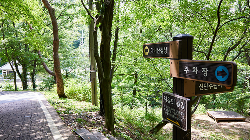 단군로 & 숲길 트레킹