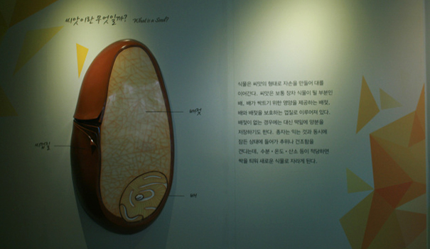 씨앗이란 무엇일까?