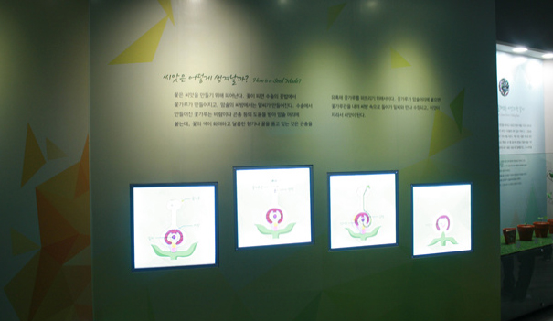 씨앗은 어떻게 생겨날까?