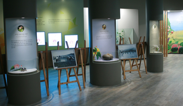 신기한 씨앗의 세계