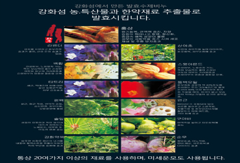 발효수제비누 만들기 체험 사진