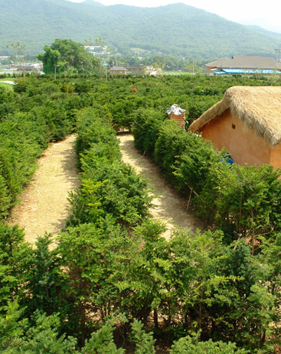 온새미로 미로1 사진