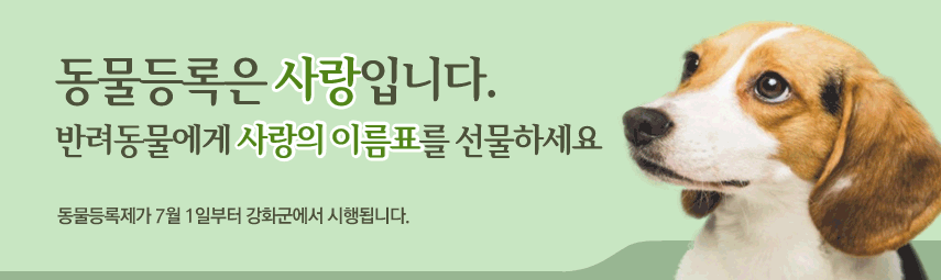 동물등록은 사랑입니다. 반려동물에게 사랑의 이름표를 선물하세요 동물등록제가 7월 1일부터 강화군에서 시행됩니다.