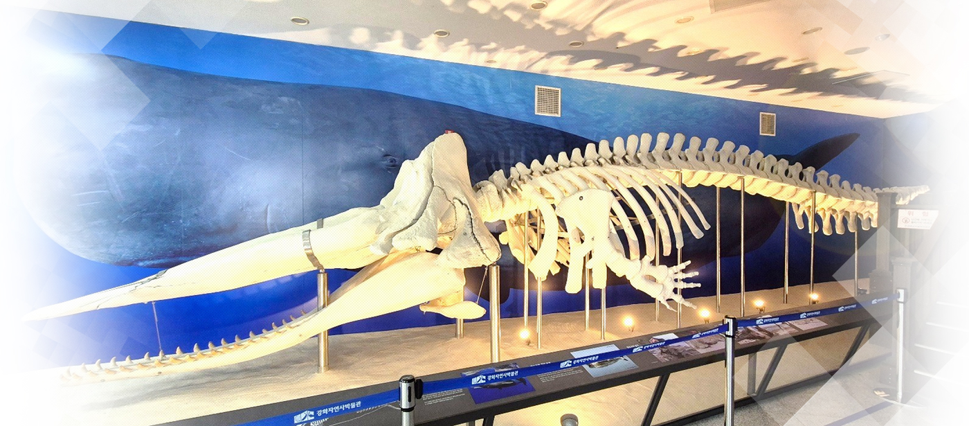 강화역사박물관