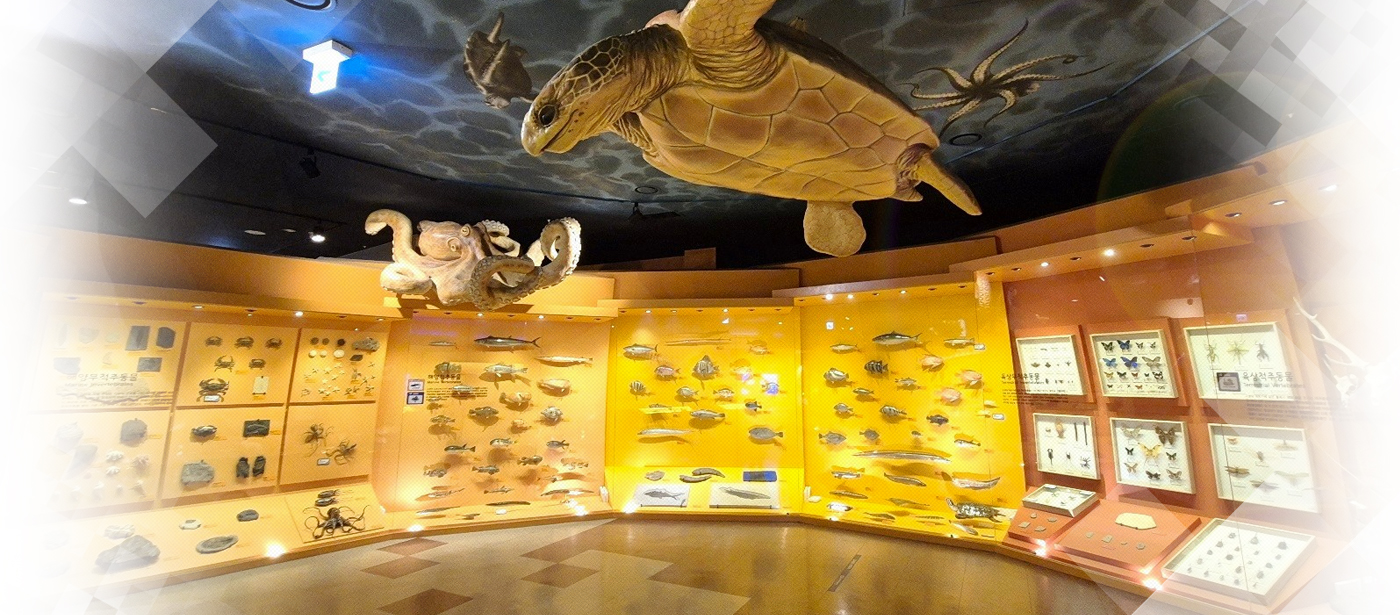 강화역사박물관