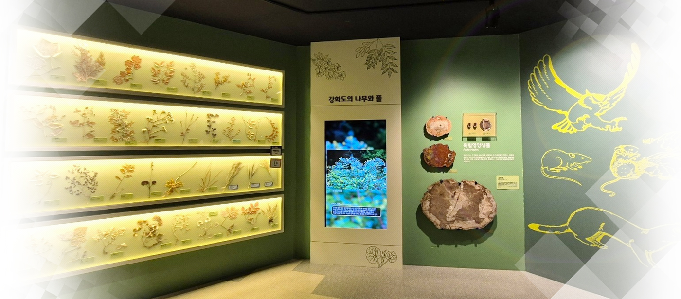 강화역사박물관