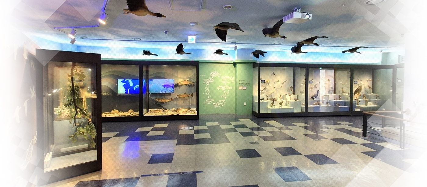 강화역사박물관