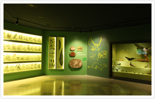 생태계와 먹이사슬