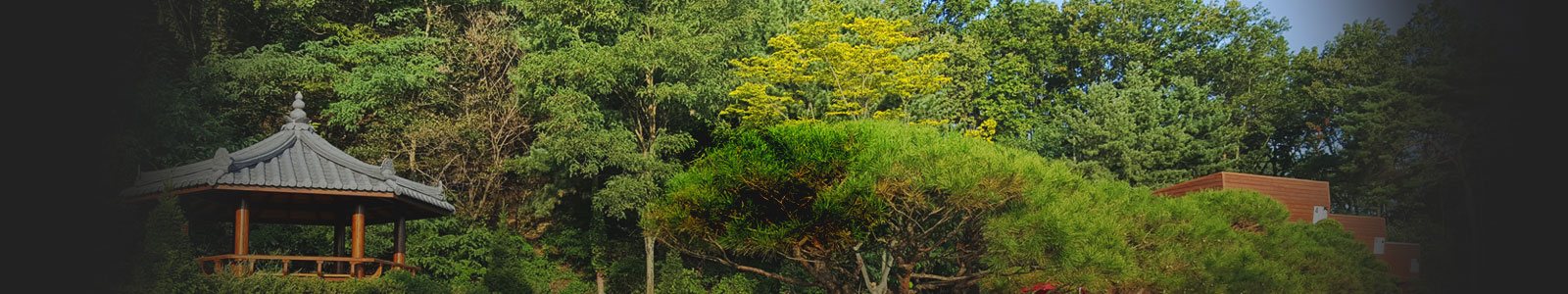 평화빌리지 정자 이미지