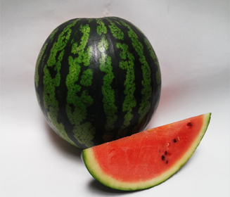 강화섬수박 사진