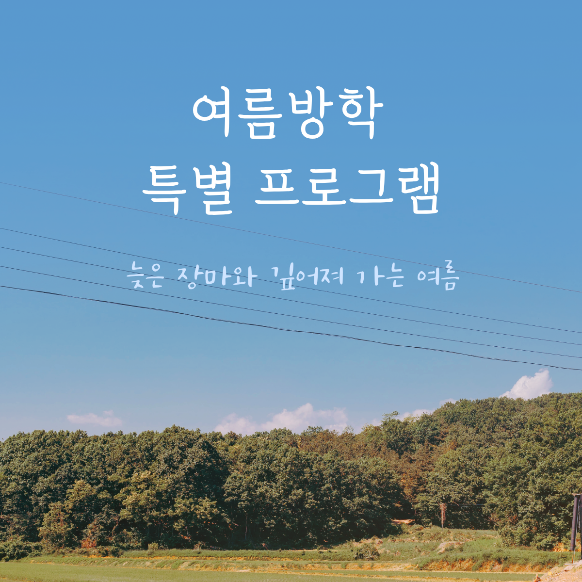 여름방학 특별 프로그램