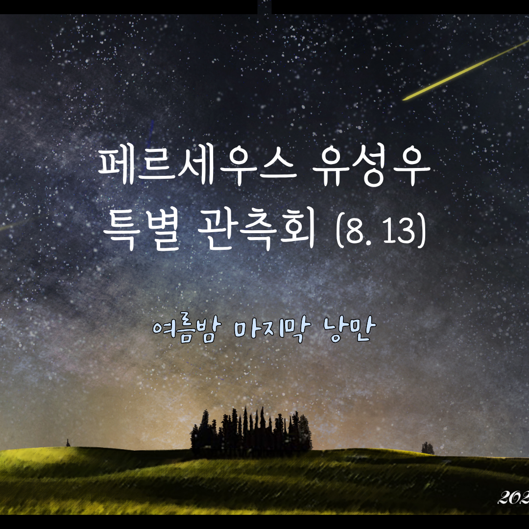 8월 페르세우스 유성우 특별 관측회